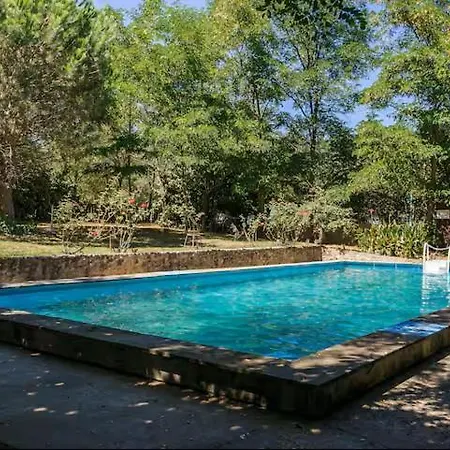 Domaine De *