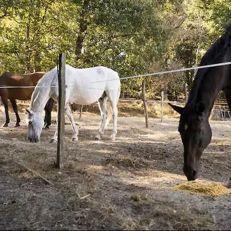 Domaine De