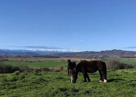 Domaine De